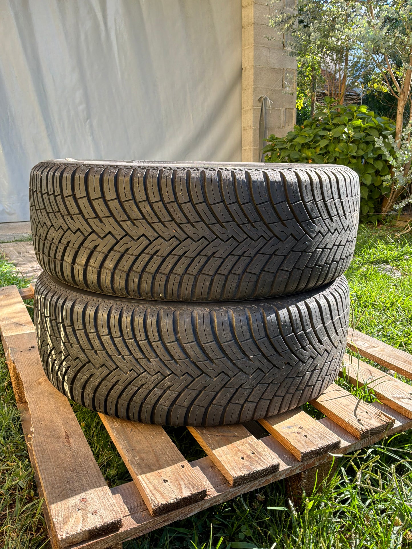 205/55/17 - 4 stagioni - Pirelli - DOT 2023 - Usato